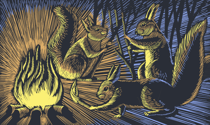 TAM and OMN tools for potential Bonfire workflows